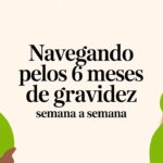 Navegando pelos 6 meses de gravidez semana a semana