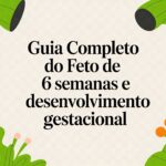 Guia completo do feto de 6 semanas e desenvolvimento gestacional