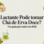 Lactante pode tomar chá de erva doce? Um guia para mães em 2026