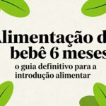 Alimentação de bebe 6 meses o guia definitivo para a introdução alimentar